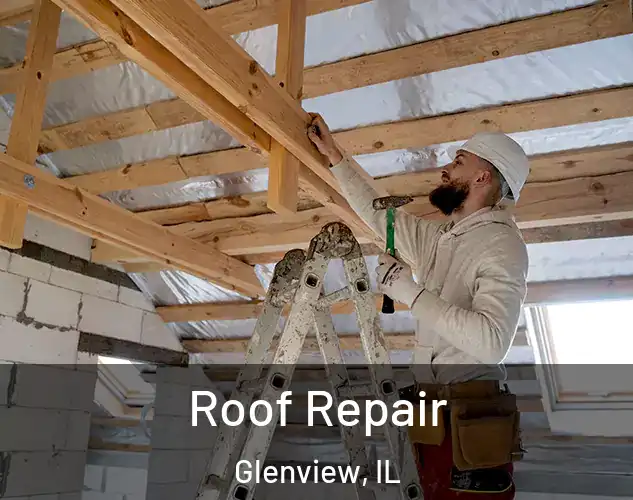  Roof Repair Glenview, IL